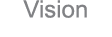 Vision